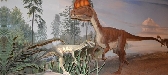 Dilophosaurus and Coelophysis.