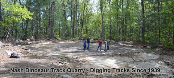 Nash Dinosaur Track Quarry