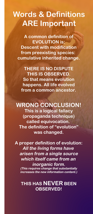defining human evolution