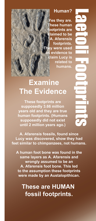 human footprints before humans evolved